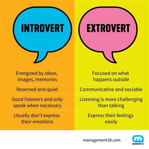 what is introvert
