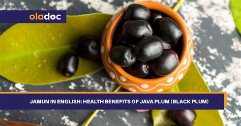 what is java plum in english