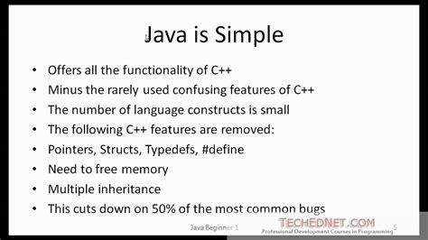 what is java simple definition