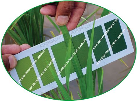 what is leaf colour chart