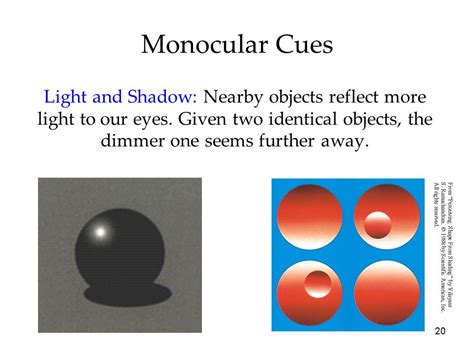what is light and shadow in psychology
