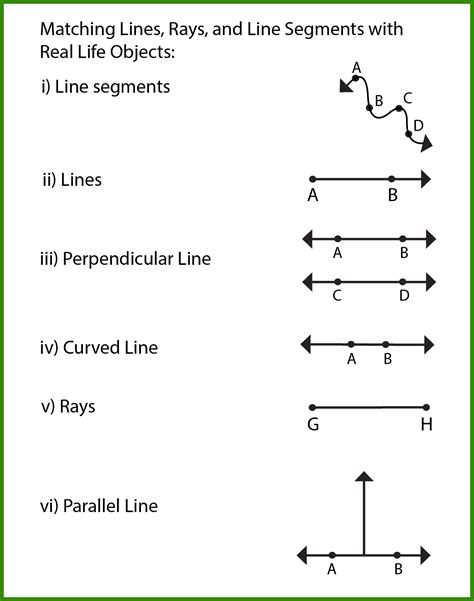 what is line segment class 5 answer