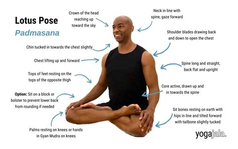 what is lotus position meaning in english with example