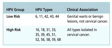 what is low risk hpv mean