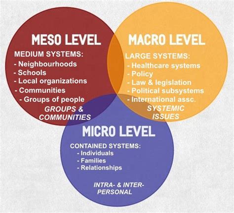 what is macro level practice