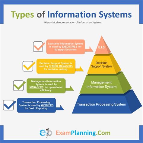 what is management information system with example