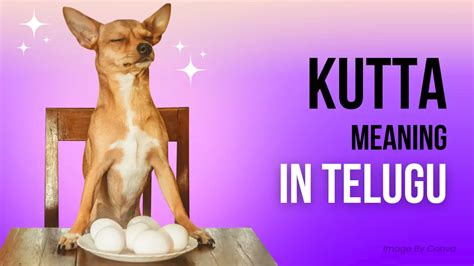 what is mean by kutta in tamil with example
