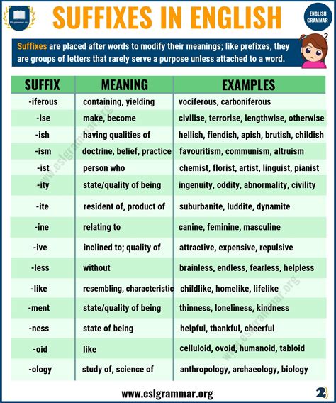 what is mean by prefix and suffix with examples