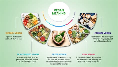 what is meaning of non vegan