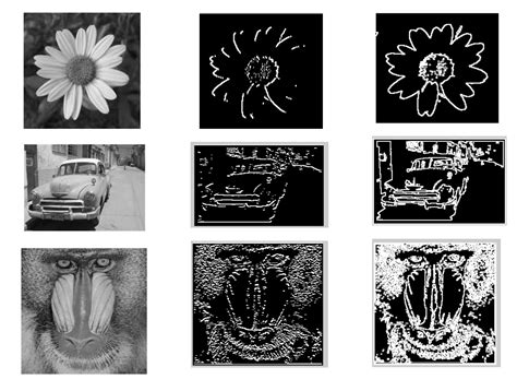 what is meant by edge detection in image processing