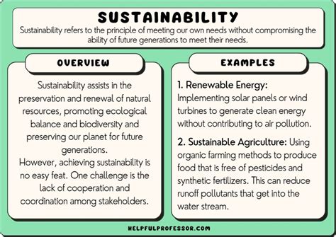 what is meant by sustainability of development explain with examples
