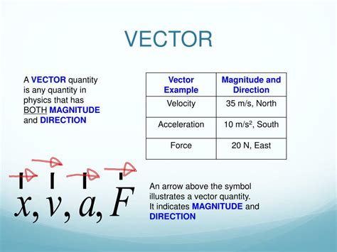 what is meant by vector quantity in physics