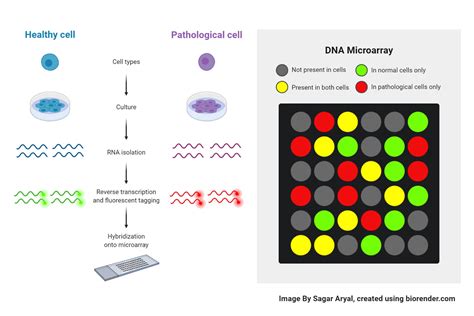 what is microarray analysis