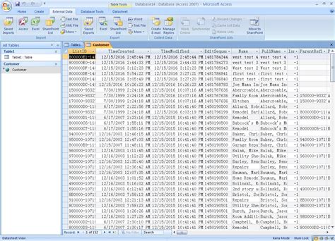what is microsoft access database engine 2007