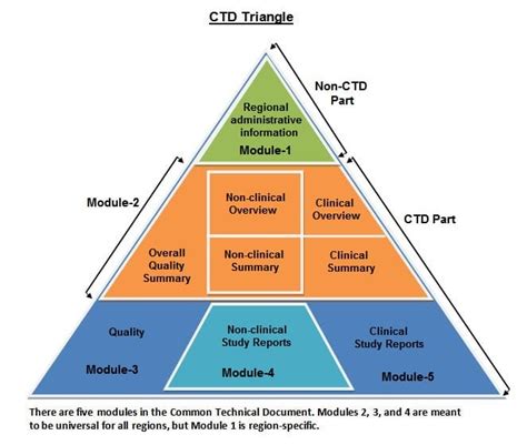 what is module 3 of the ctd
