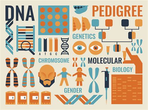 what is molecular biology