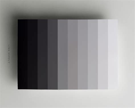 what is monochrome colour scheme