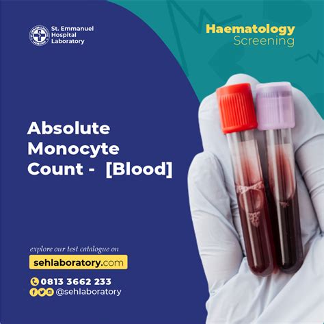 what is monocyte absolute in blood work