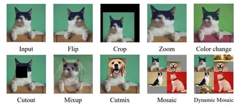 what is mosaic data augmentation
