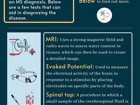 what is ms/ms