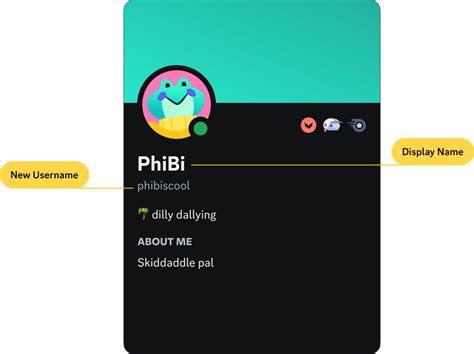 what is my discord name