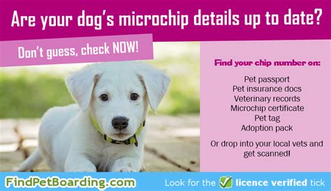 what is my dog's microchip number