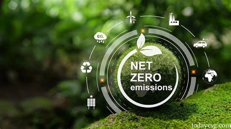 what is net zero transition