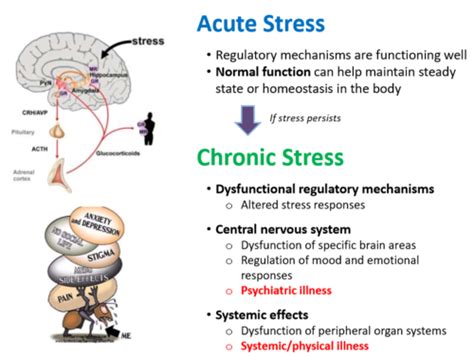 what is not a symptom of chronic stress quizlet