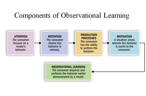 what is observational learning in consumer behaviour