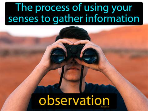 what is observe definition