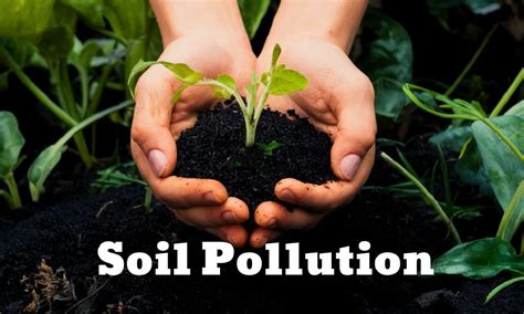 what is one example of soil pollution