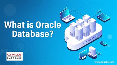 what is oracle base