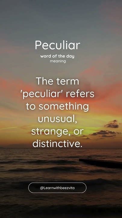 what is peculiar meaning in english