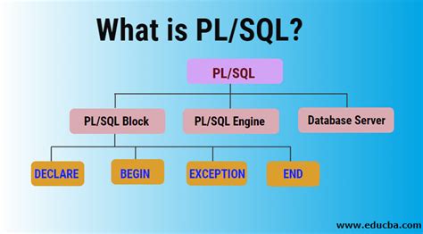 what is pl/sql in database
