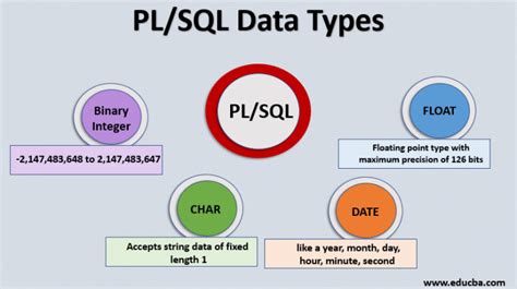 what is pl sql in dbms