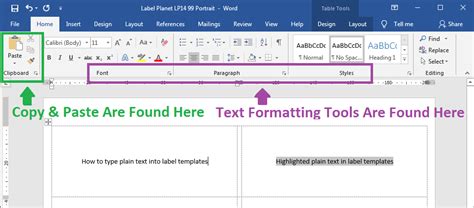 what is plain text format in word
