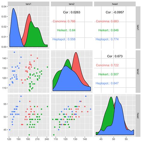what is plot in rstudio