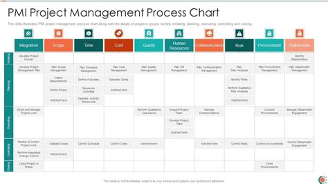 what is pmi in project management