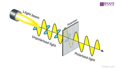 what is polarized light simple definition