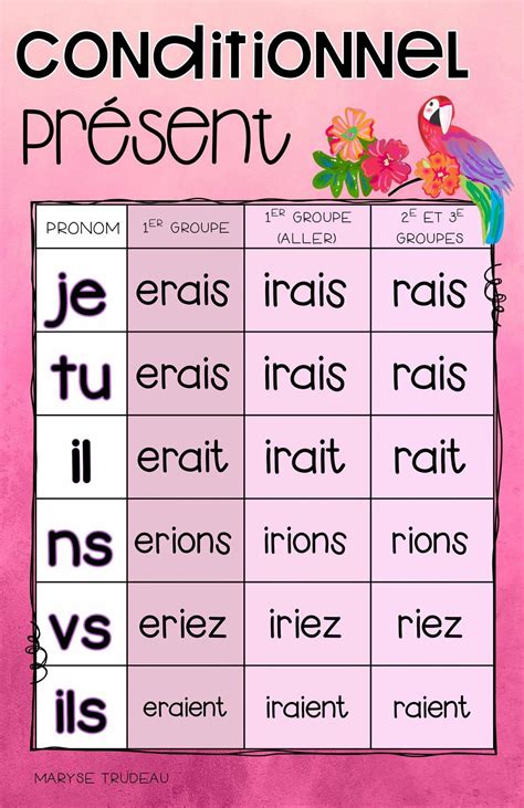 what is problem in french language
