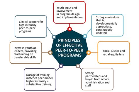 what is program of support