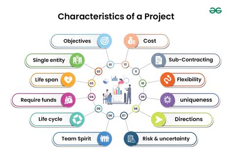 what is project and its characteristics in spm