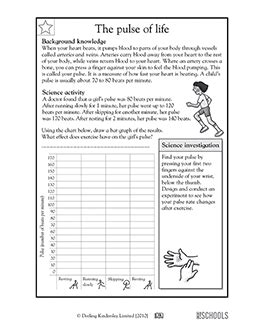 what is pulse class 7th science