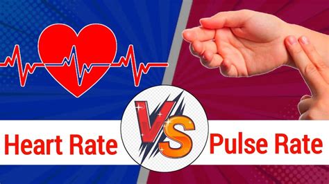 what is pulse in science class 7