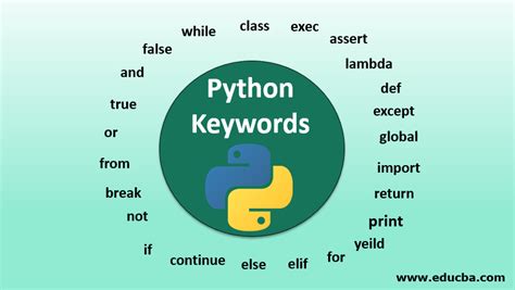 what is python in simple words