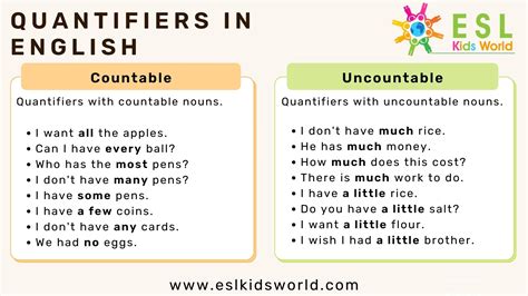 what is quantifiers and examples