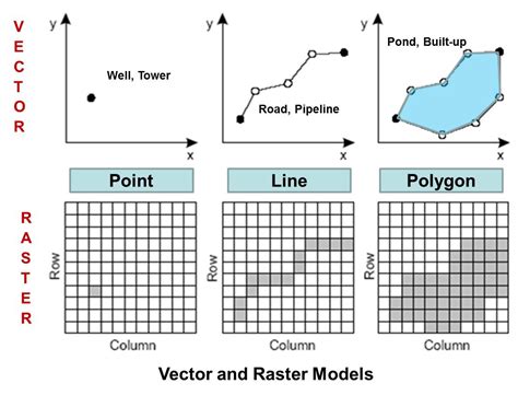 what is raster and vector data structure