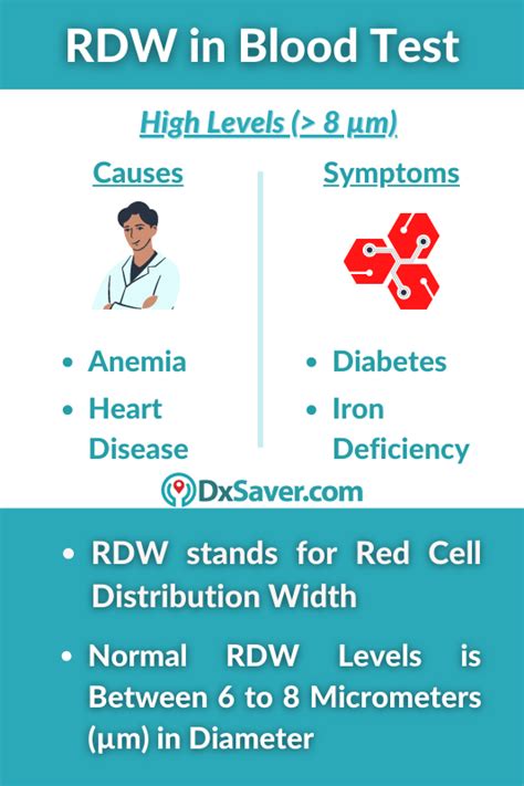 what is rdw in lab work mean