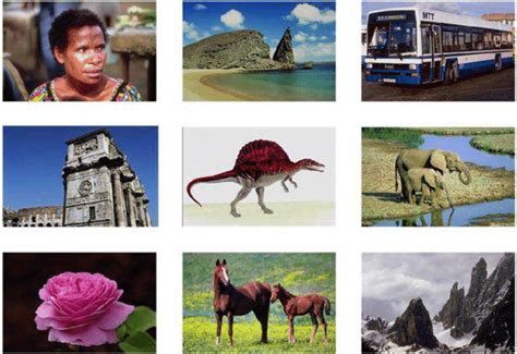 what is real image example