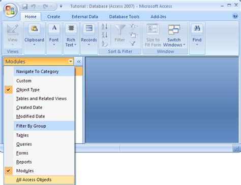 what is report in ms access 2007